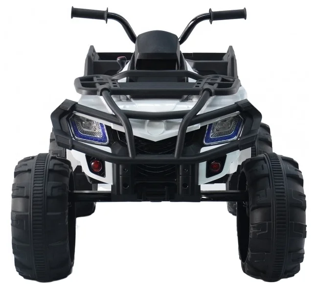 BDM Grizzly Next 4WD BDM0909 - комплектация: клаксон, амортизаторы, багажник, зарядное устройство, педаль газа, пульт ДУ