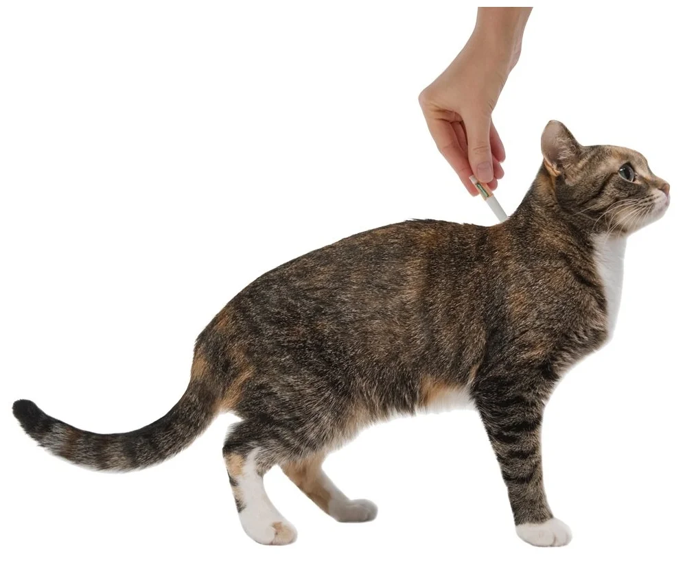 Адвантейдж (Bayer) для котят и кошек весом до 4 кг, 4 пипетки - продолжительность защиты 28 дней