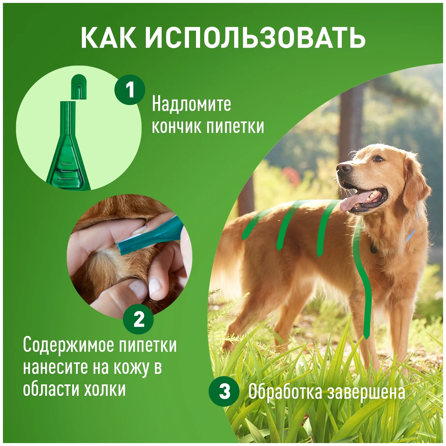 Фронтлайн Комбо (L) капли для собак 20-40 кг  - продолжительность защиты 30 дней