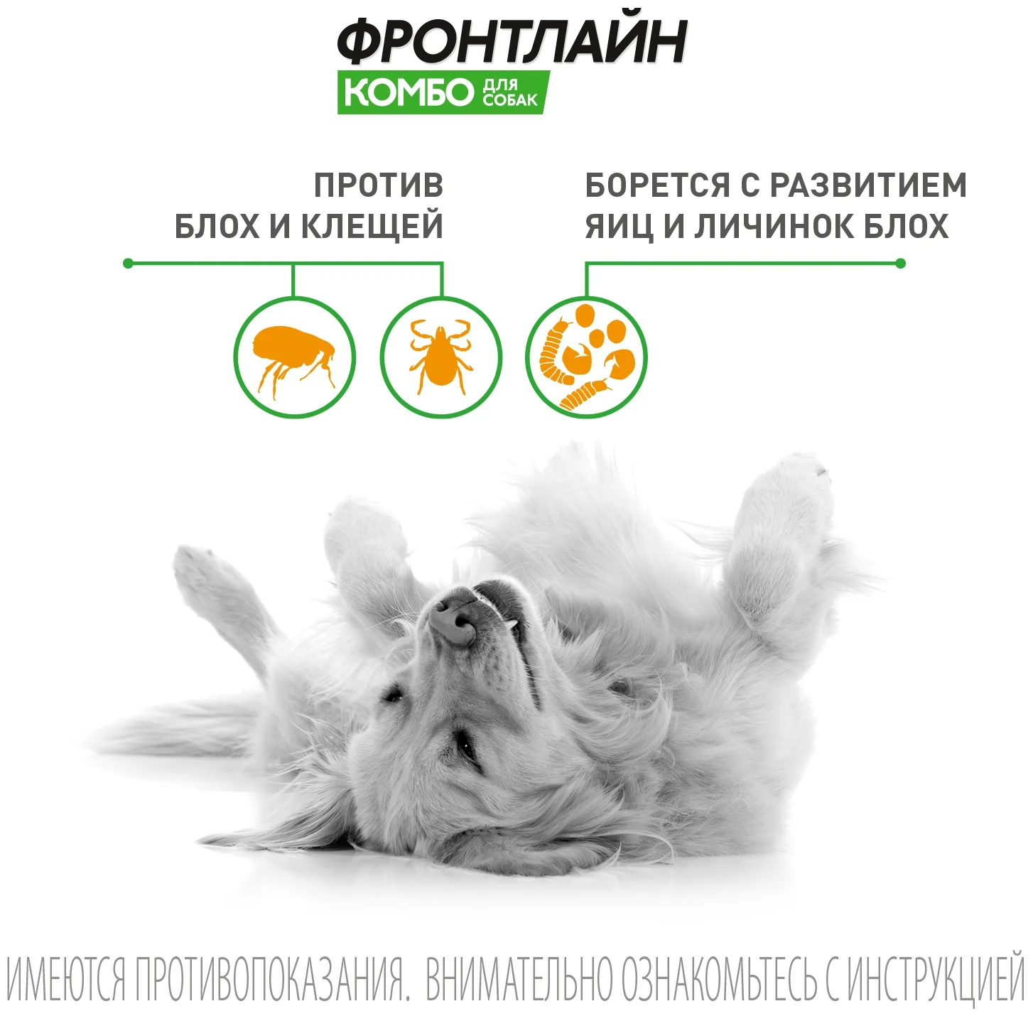 Фронтлайн Комбо (XL) для собак 40-60 кг - продолжительность защиты 30 дней