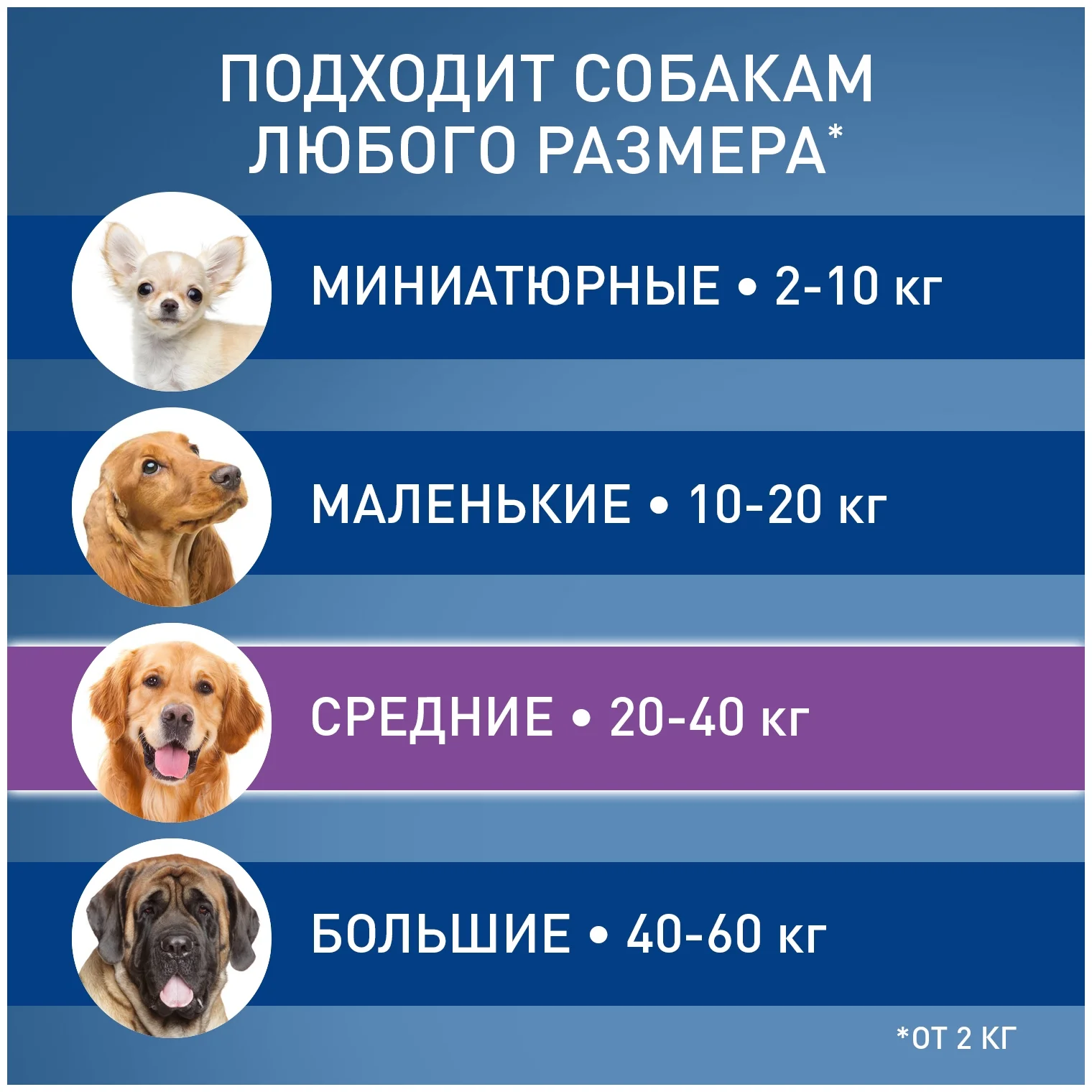 Фронтлайн Спот-он (L) капли для собак 20-40 кг - продолжительность защиты 30 дней
