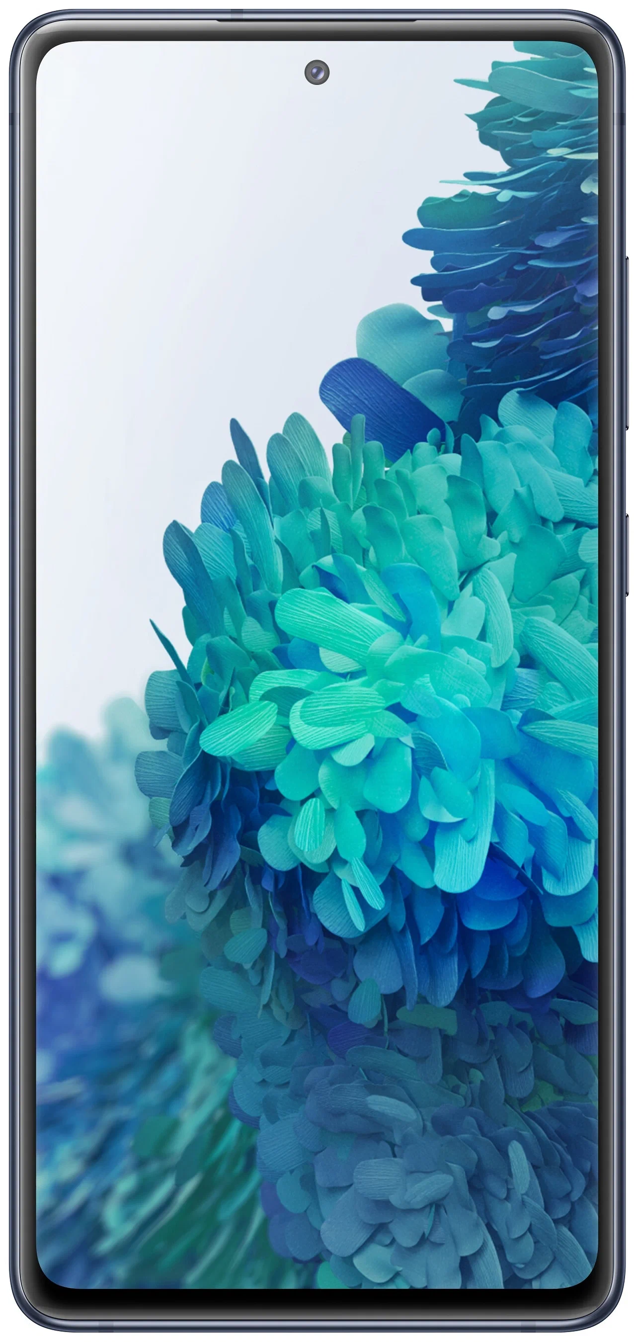 Samsung Galaxy S20 FE (SM-G780F) - встроенная память: 256 ГБ, 128 ГБ