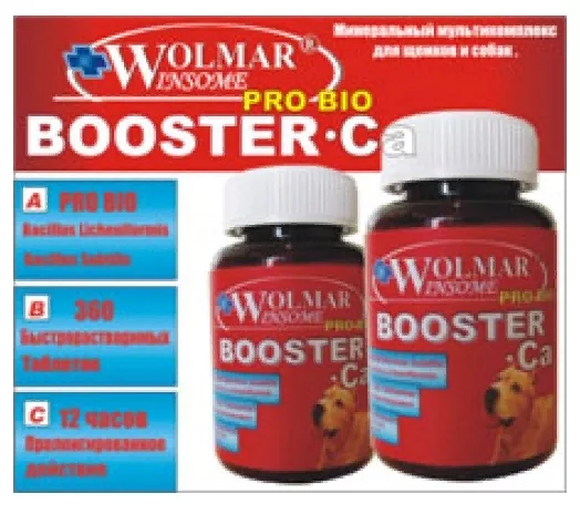 Wolmar Winsome Pro Bio Booster Ca - содержит: витамины группы A, витамины группы B, витамины группы D, витамины группы E, кальций, фосфор, дрожжи